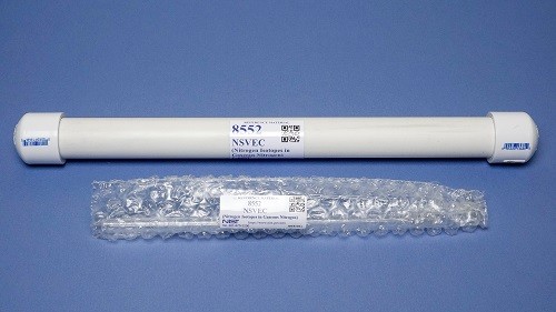 8050午夜二级无码人妻 SRM 8552 NSVEC （气态氮中的氮同位素）标准品